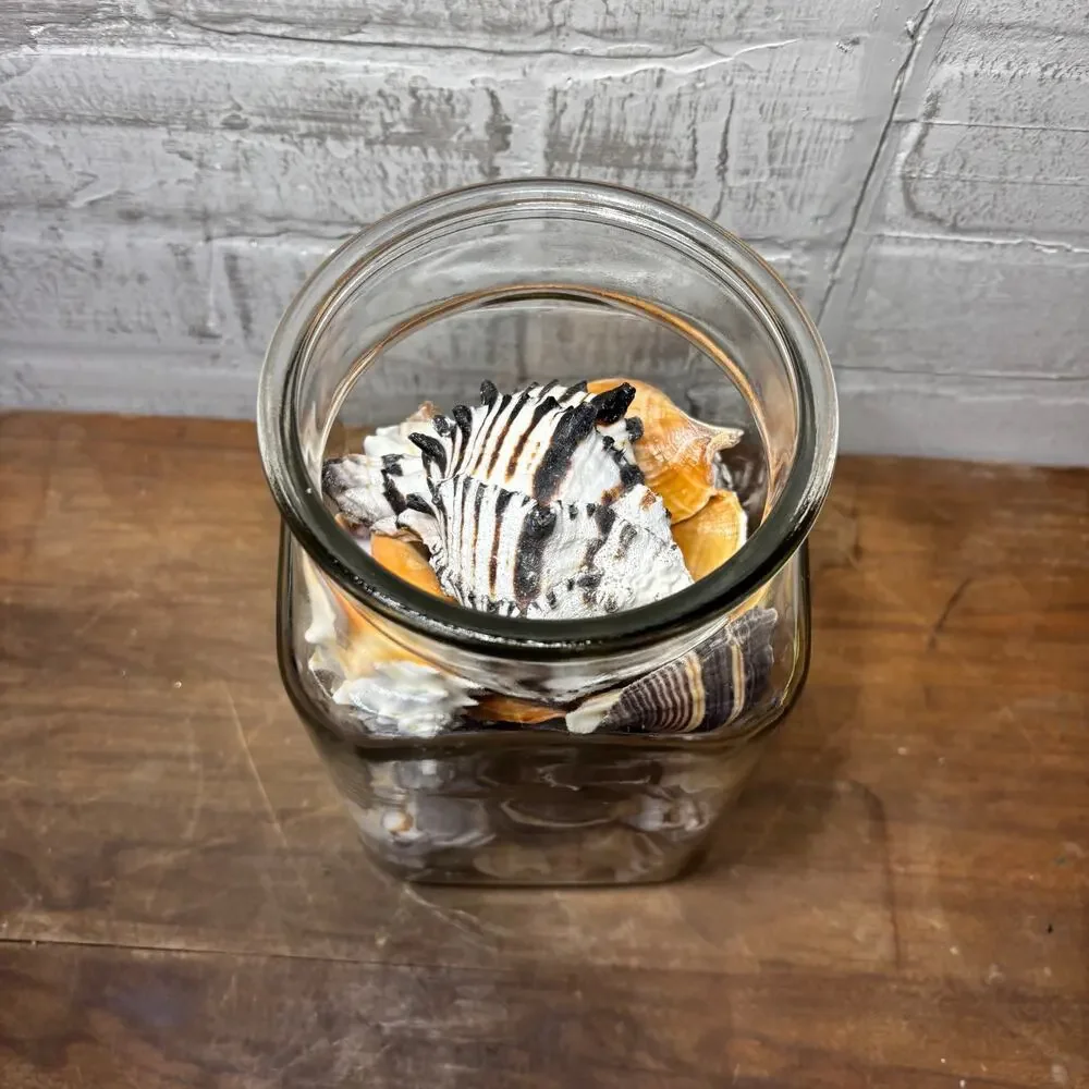Large Glass Jar Filled with Assorted Seashells